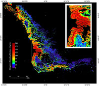 Thumbnail image of the Map of Mangrove Forest Biomass