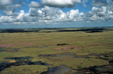 Everglades National Park (ENP)