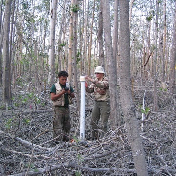 Left to right: Edward Castaneda and Kim de Mutsert reinstalling a water level recorder damaged by Hurricane Wilma at SRS-6 in Shark River Slough