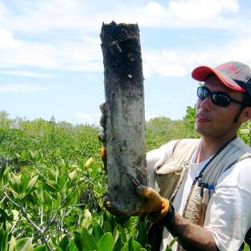 Edward Castaneda retrieving a soil core to assess sedimentation and nutrient accumulation rates in a dwarf mangrove forest at TS/Ph-6b in Taylor Slough