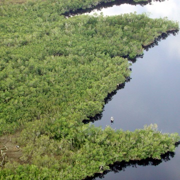 Aerial photo of SRS-4 in Shark River Slough