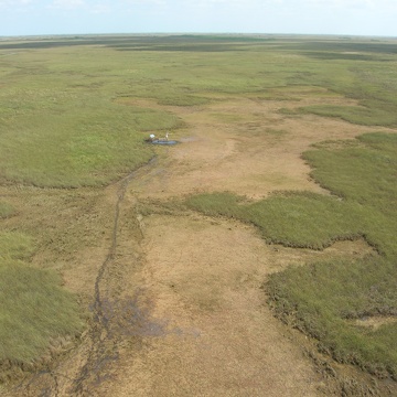 Eddy covariance tower in long-hydroperiod Everglades marsh in mid-dry season, 2009 (at SRS-2)