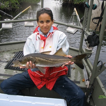 Jennifer Rehage with a snook at Rookery Branch