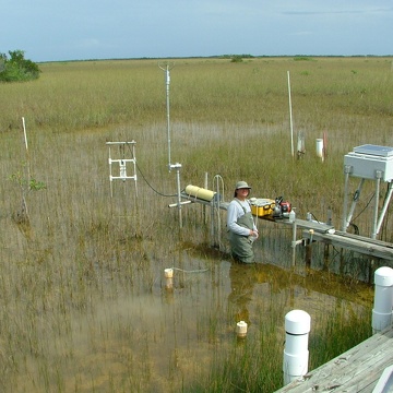 Xavier Zapata (Florida International University Graduate Student) collecting a ground water sample at TS/Ph-3 in Taylor Slough