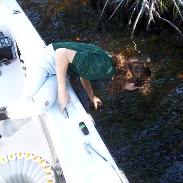 Oliva Pisani (Florida International University Ph.D. student) collecting a water sample in Shark River
