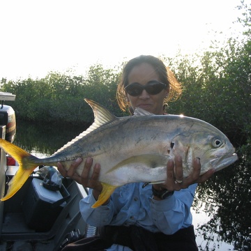 Crevalle jack, Rookery Branch