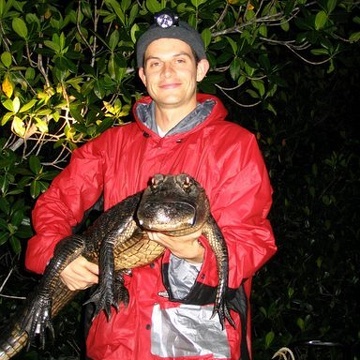 Adam Rosenblatt (Ph.D. student) holding one of his study subjects, an American alligator, in the Shark River estuary