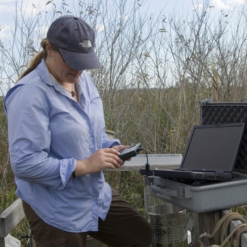 Laura downloading data on the autosampler platform at TS/Ph-2 in Taylor Slough