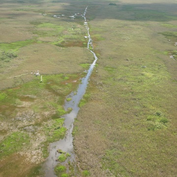 Aerial view of Shark River Slough with SRS-2 in the background