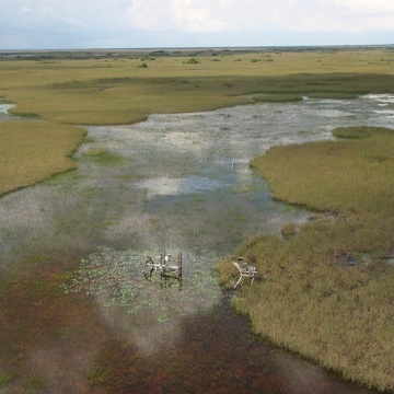 Aerial photo of SRS-1d in Shark River Slough