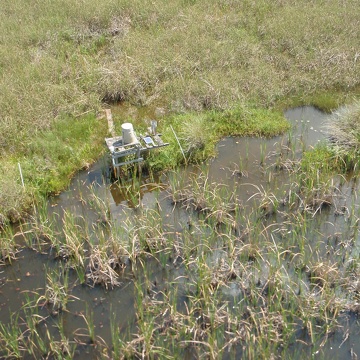 Aerial view of SRS-3, Shark River Slough