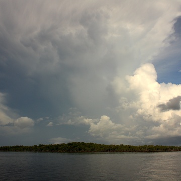 Gathering storm - Tarpon Bay