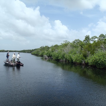 Everglades anglers in the Shark River Estuary