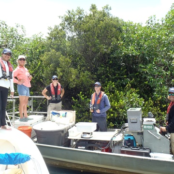 Researchers and students from Dr. Rehage's lab sampling fish in the Shark River Estuary
