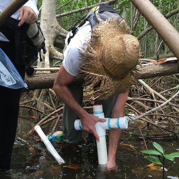 Sean Charles collecting a soil core in Biscayne National Park.