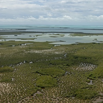 Aerial photo of the southern Everglades looking south towards Florida Bay