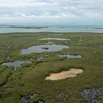Aerial photo of Taylor River looking south to Little Madiera Bay