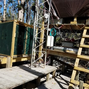 Flux tower station rebuild after Hurricane Irma at FCE site SRS-6