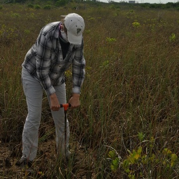 Measuring soil depth at the low salinity site in the Model Lands