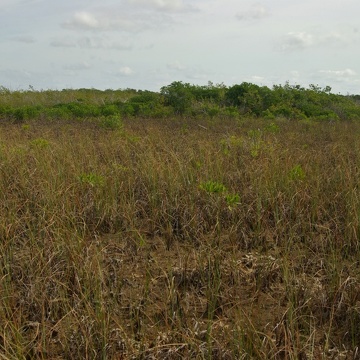 Low salinity site in the Model Lands