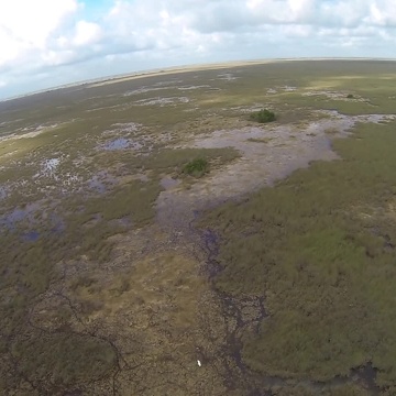 Flying over the Everglades