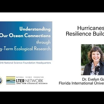 NSF-LTER 2018 Symposium - Evelyn Gaiser: Hurricanes as Resilience Builders
