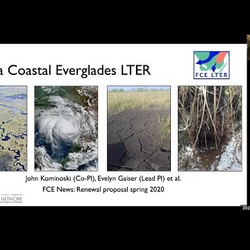 Florida Coastal Everglades LTER Site Lightning Talk 2020