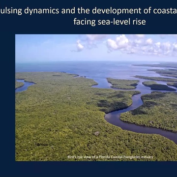Pulsing dynamics and the development of coastal ecosystems facing sea-level rise - 2021 SWS Plenary