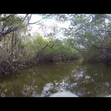 The Florida Coastal Everglades: A Mosaic and Refuge of Water, Land, and People