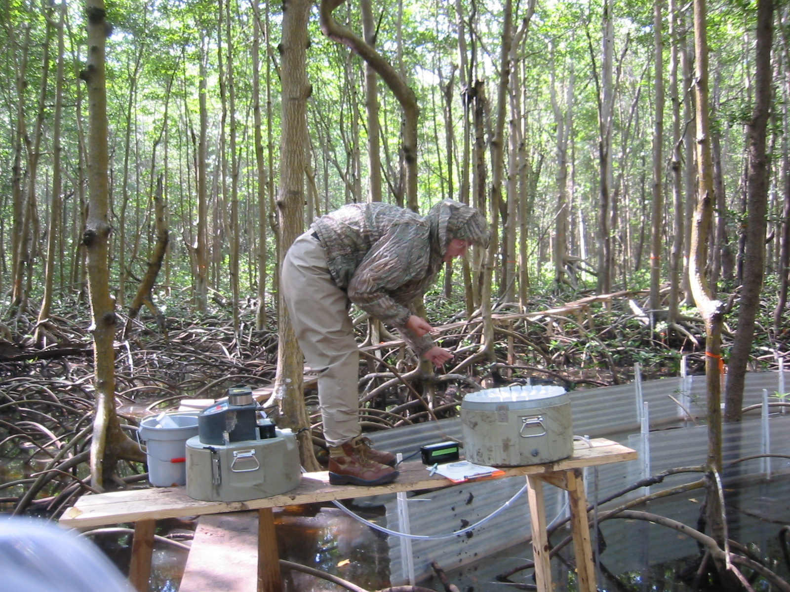 Melissa Romigh setting up autosamplers for a flume study inside a mangrove forest at SRS-6 in Shark River Slough