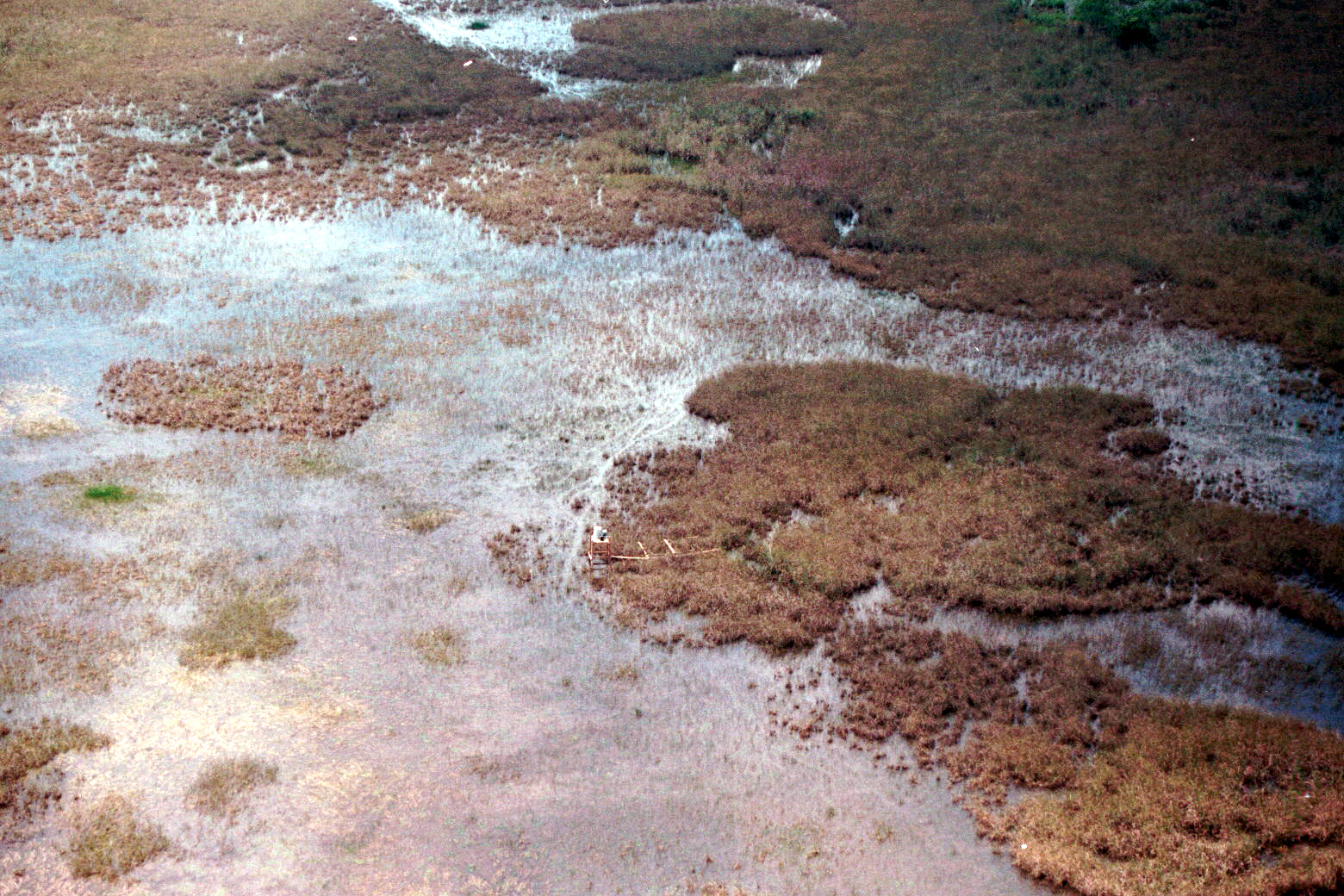 Aerial photo of SRS-2 in Shark River Slough