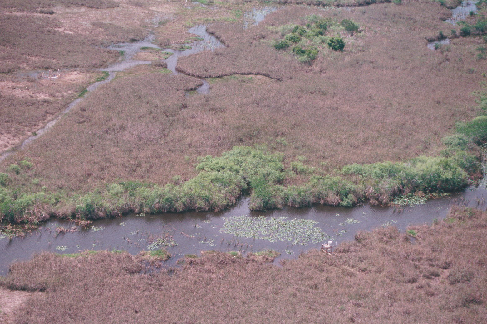 Aerial photo of SRS-3 in Shark River Slough