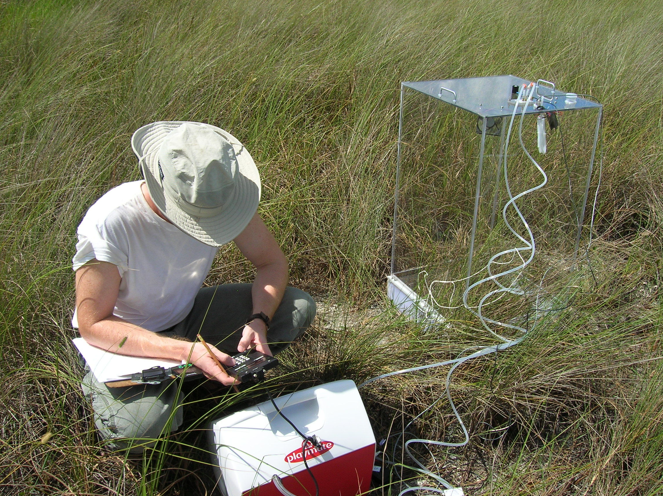 Making chamber measurements of net ecosystem exchange in a short-hydroperiod Everglades marsh (at TS/Ph-1b in Taylor Slough)