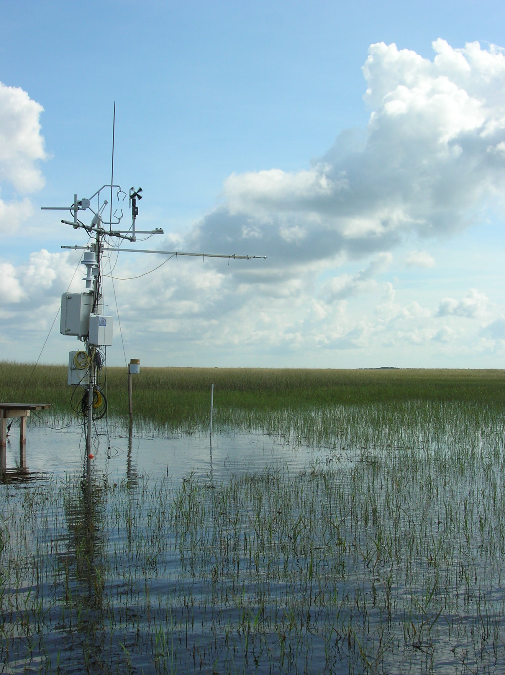 Eddy covariance and meteorological tower in a long-hydroperiod Everglades marsh during the height of the wet season, 2008 (at SRS-2 in Shark River Slough)