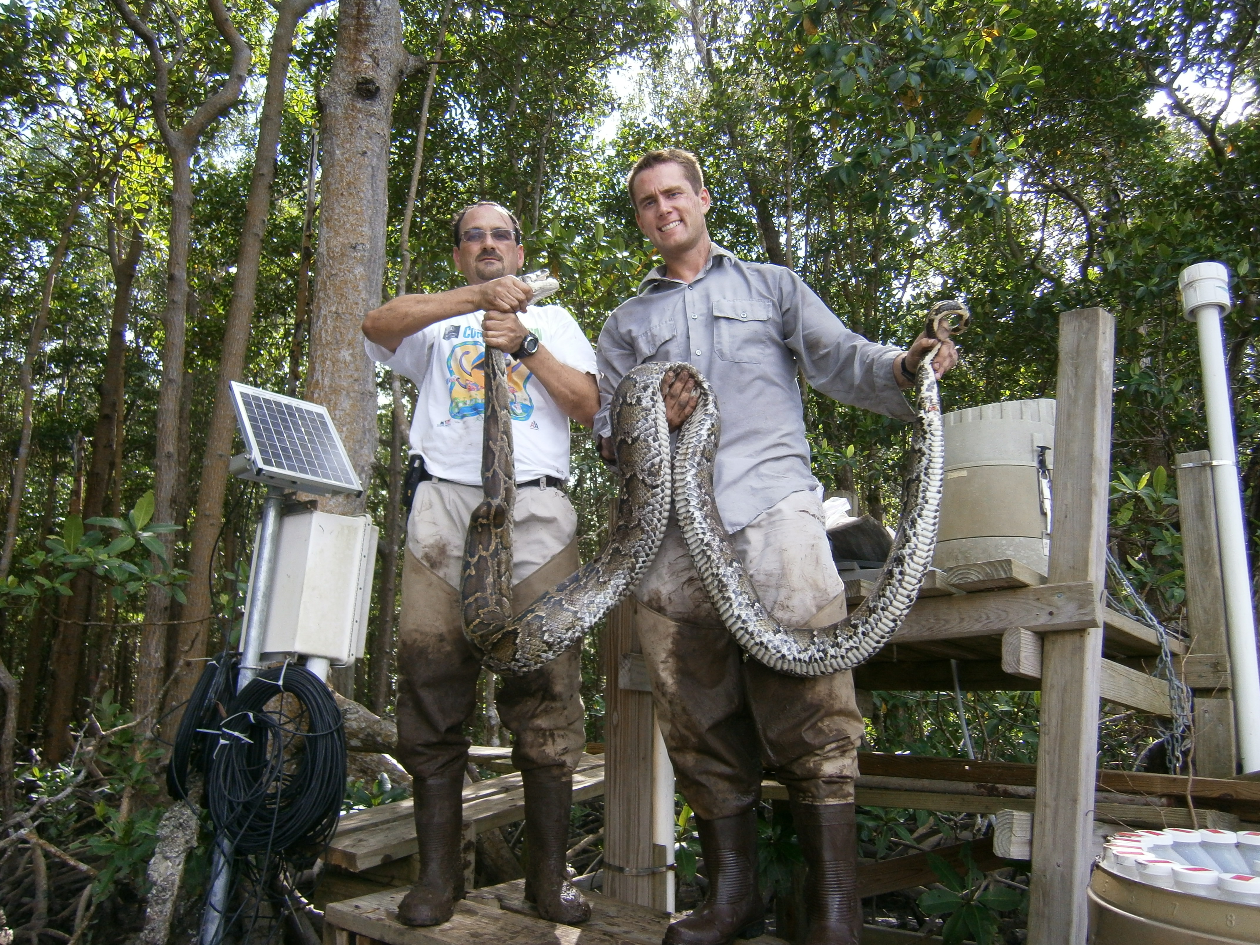 Rafael Travieso (left) and Kyle Tuntland (right) with a Burmese python at SRS-6