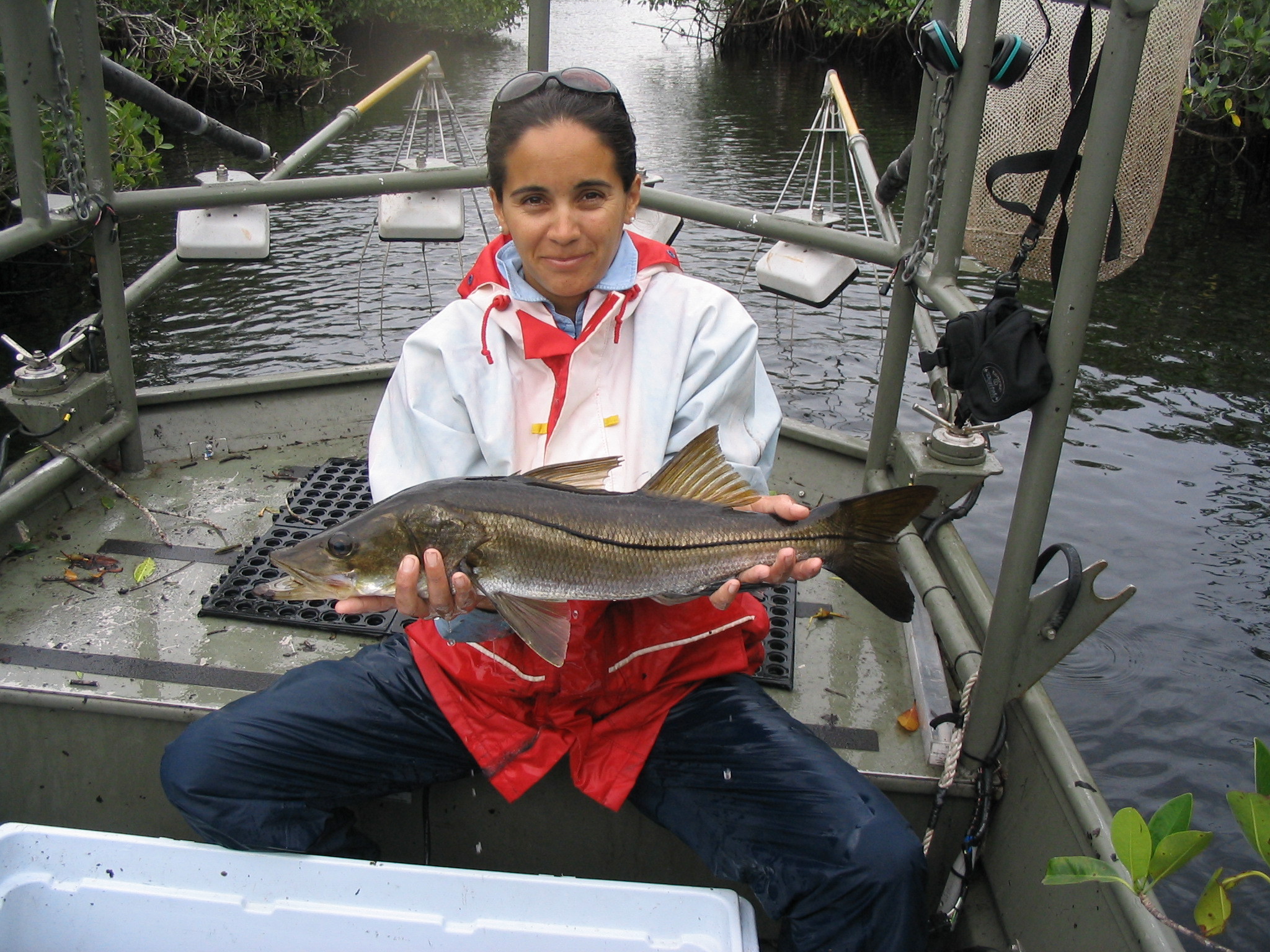 Jennifer Rehage with a snook at Rookery Branch