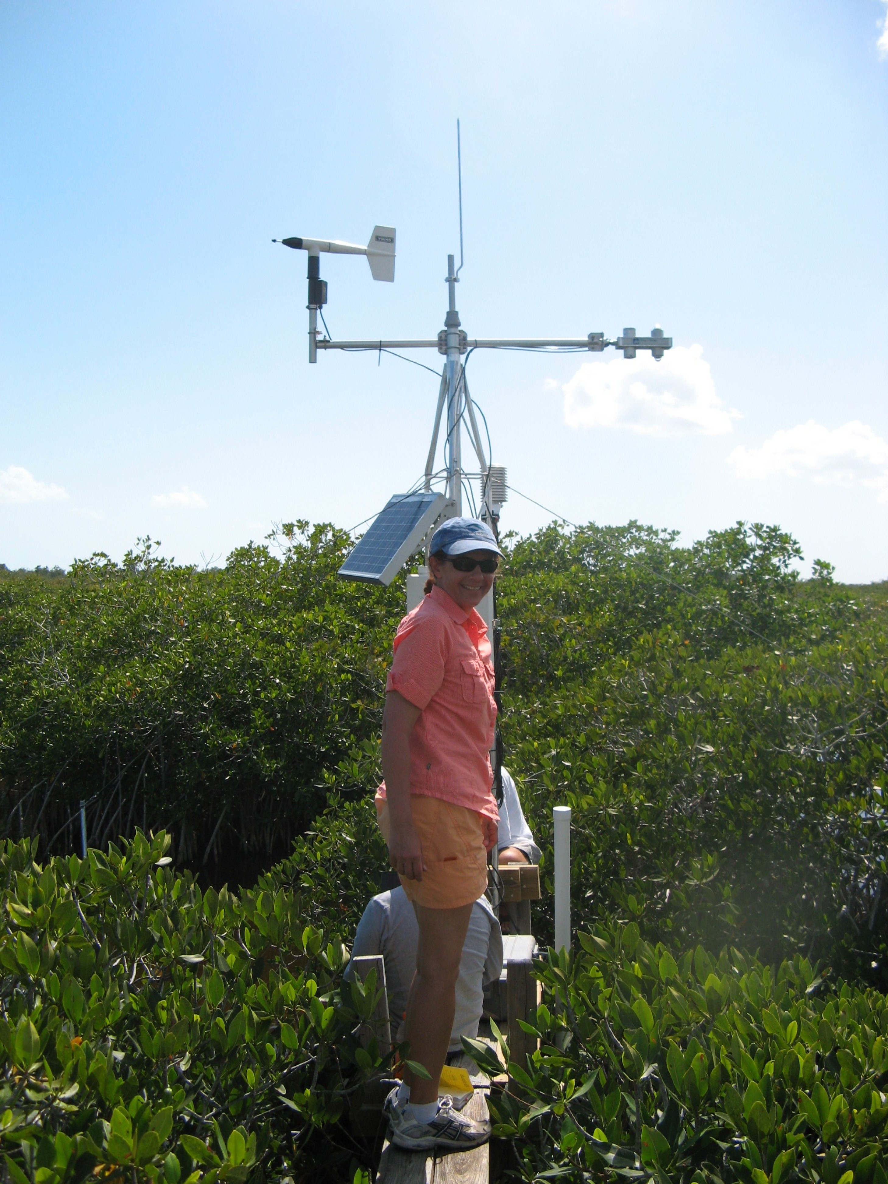 Dr. Rene Price (FCE LTER co-PI) installing a meteorological tower