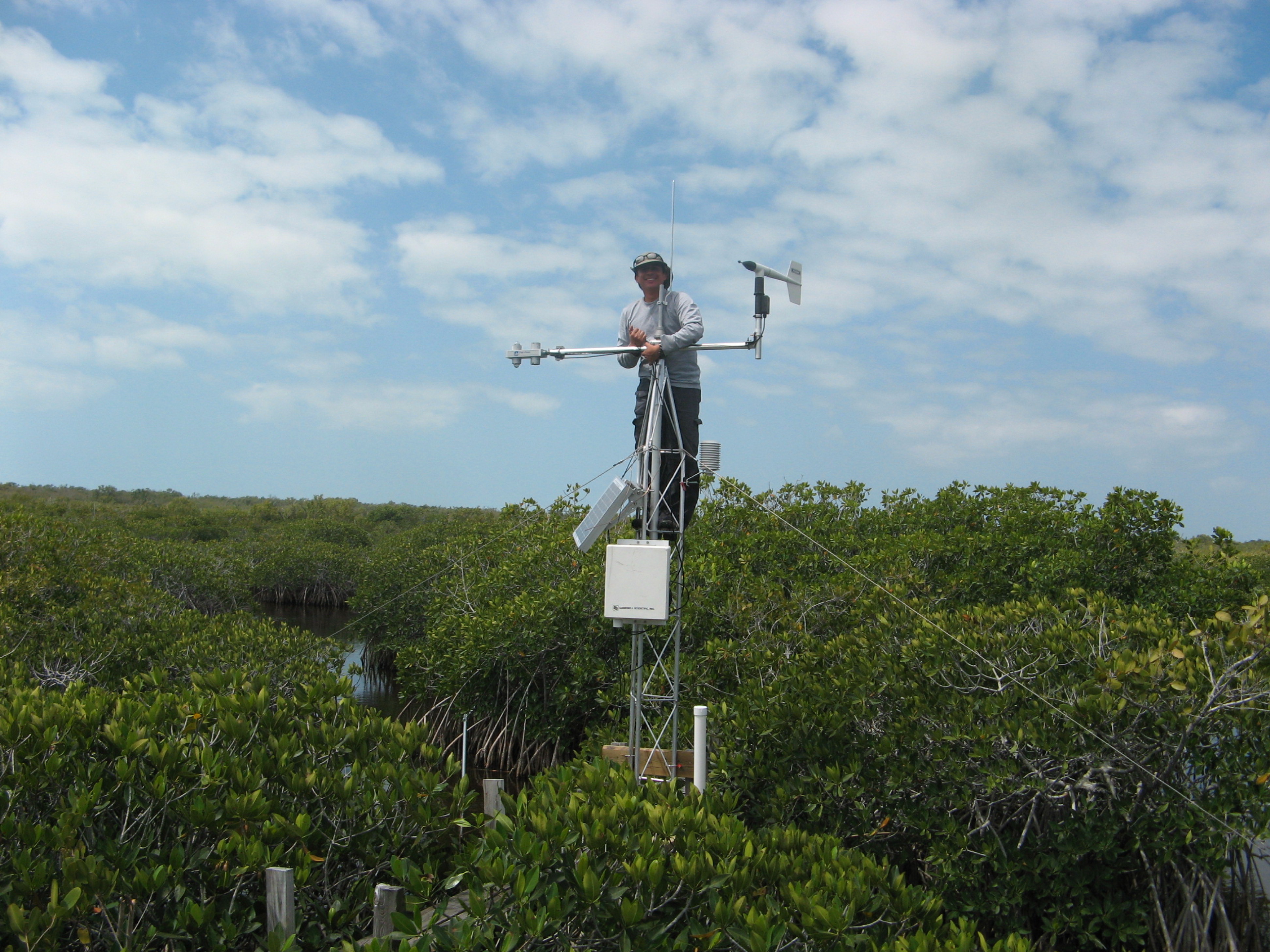 Xavier Zapata (Florida International University Graduate Student) installing a meteorological tower at TS/Ph-7b in Taylor Slough