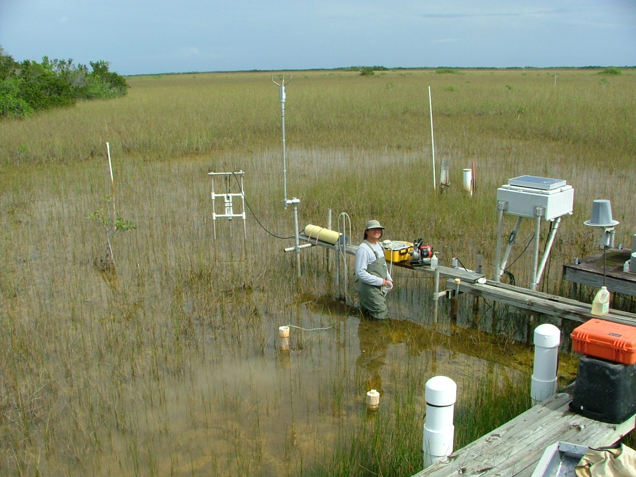 Xavier Zapata (Florida International University Graduate Student) collecting a ground water sample at TS/Ph-3 in Taylor Slough