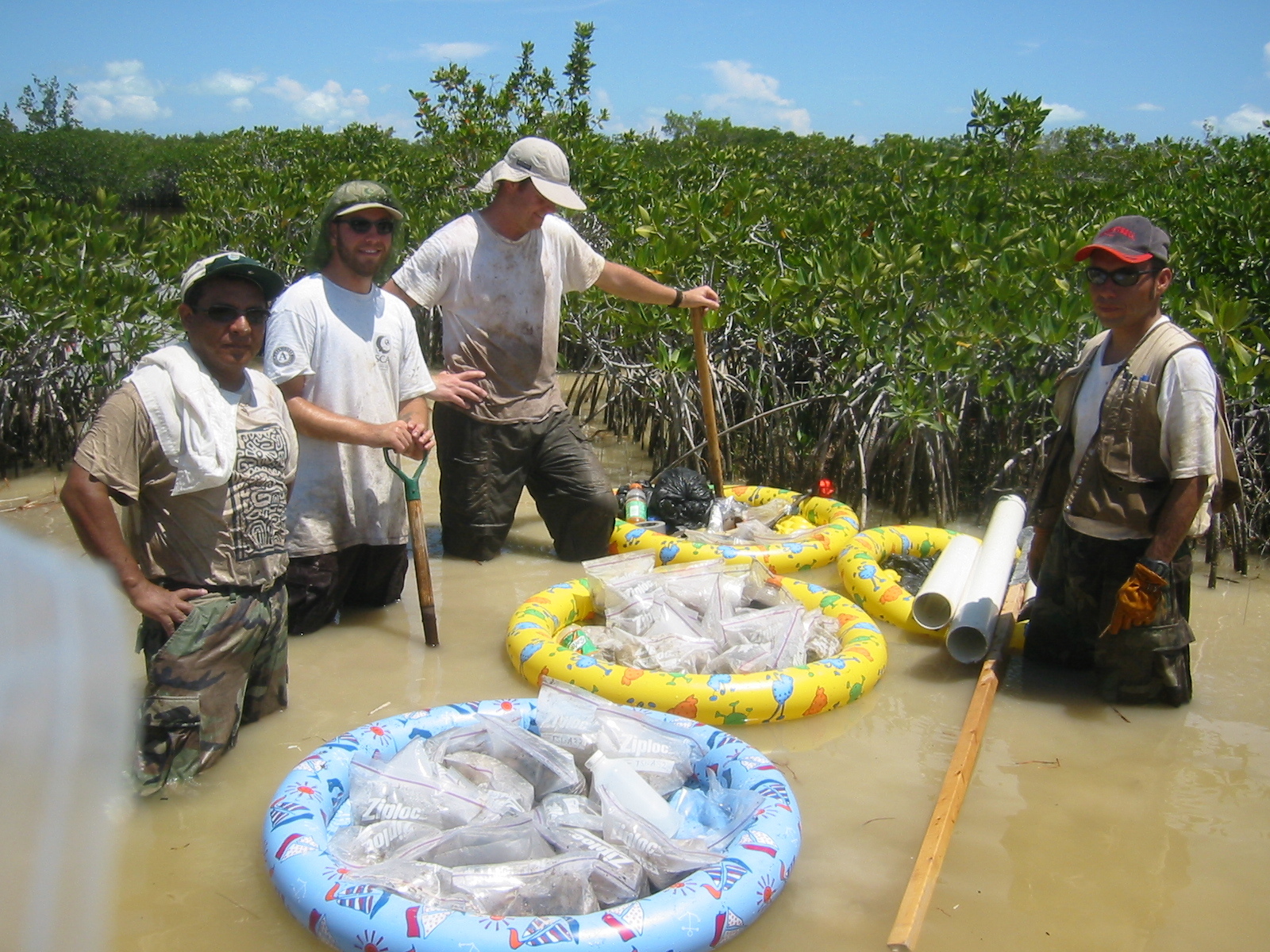 Left to right: Carlos Coronado-Molina, Justin, Dan Bond, and Edward Castaneda retrieving root biomass cores in dwarf mangroves in Taylor Slough