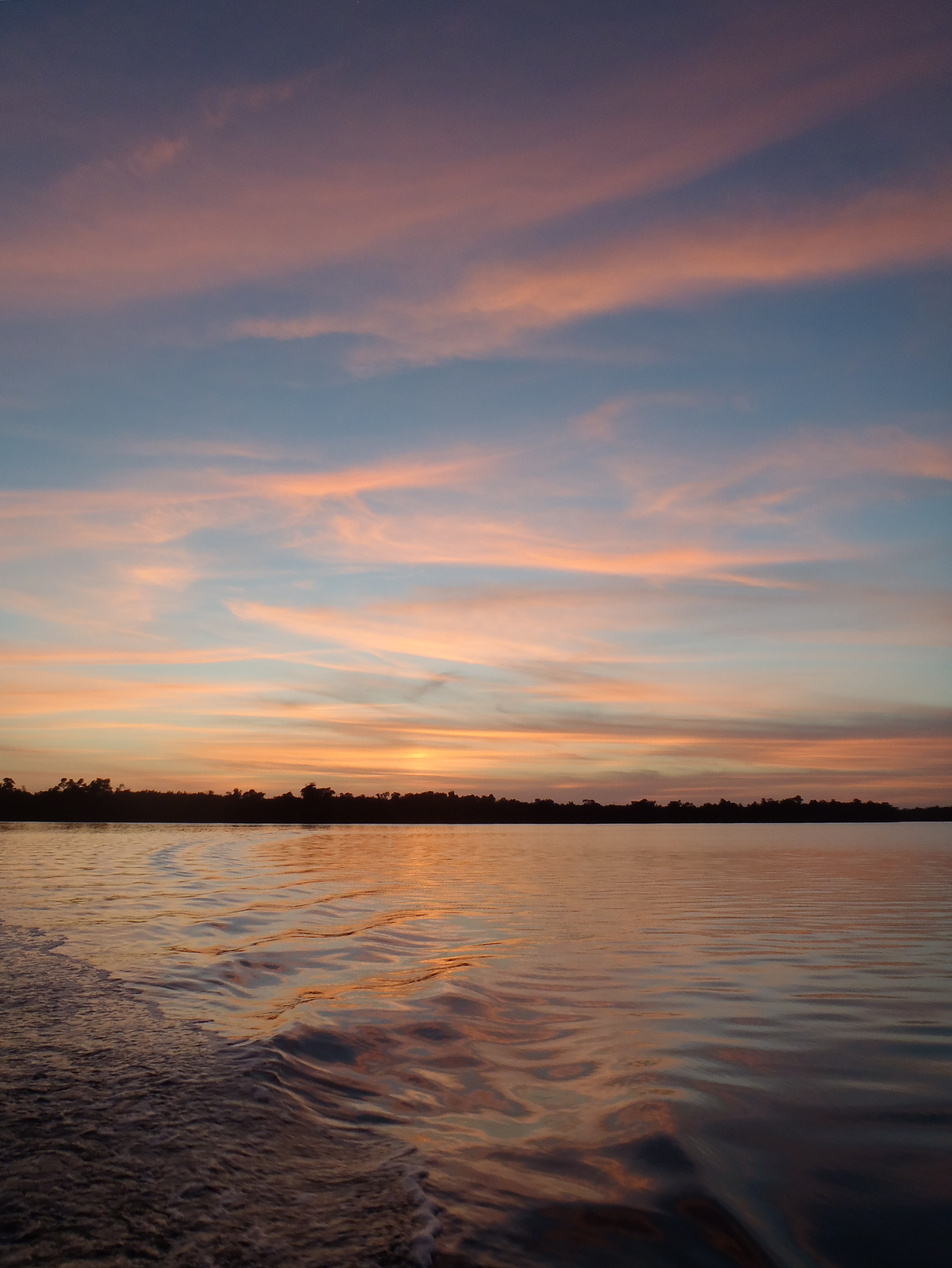 Sunset in the Shark River Estuary