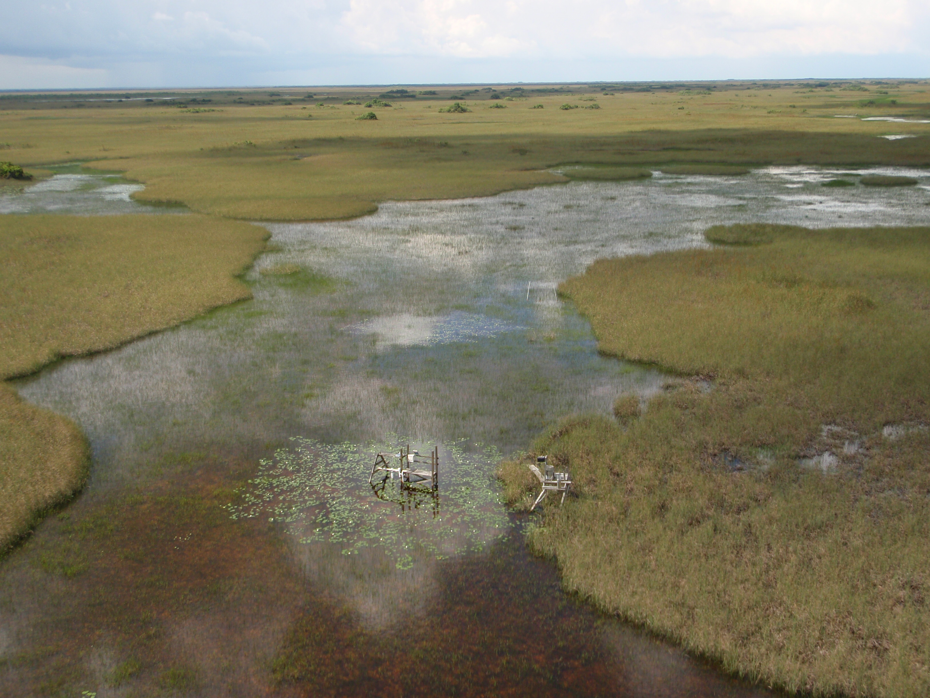 Aerial photo of SRS-1d in Shark River Slough