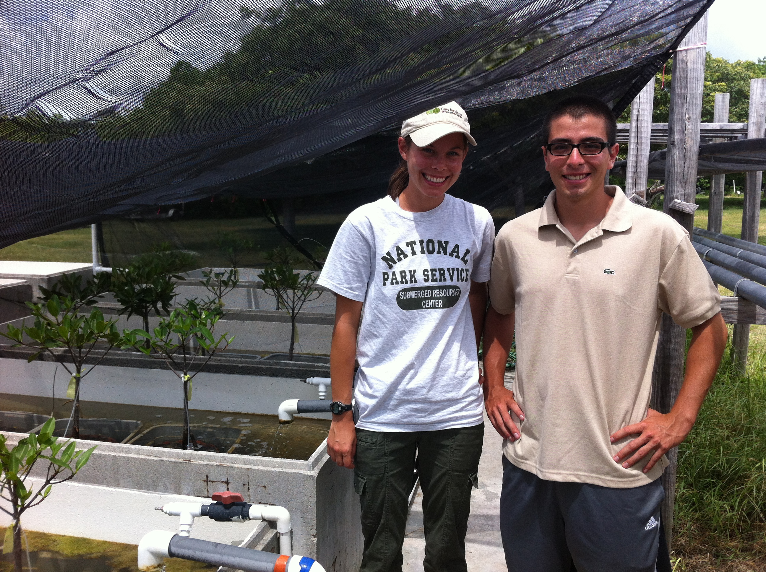Ph.D. graduate student, Shelby Servais and REU, Julio Pachon conducted collaborative research in the wetland mesocosms during the summer of 2013