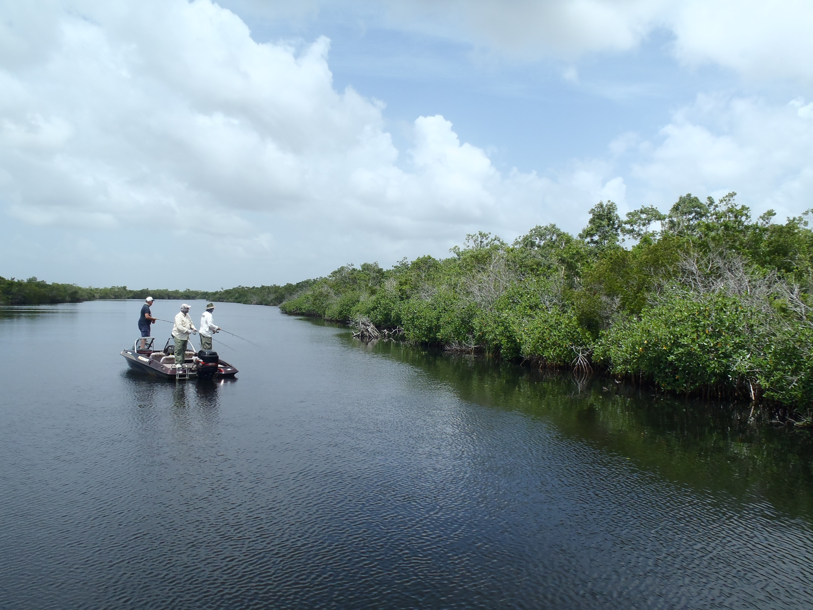 Everglades anglers in the Shark River Estuary