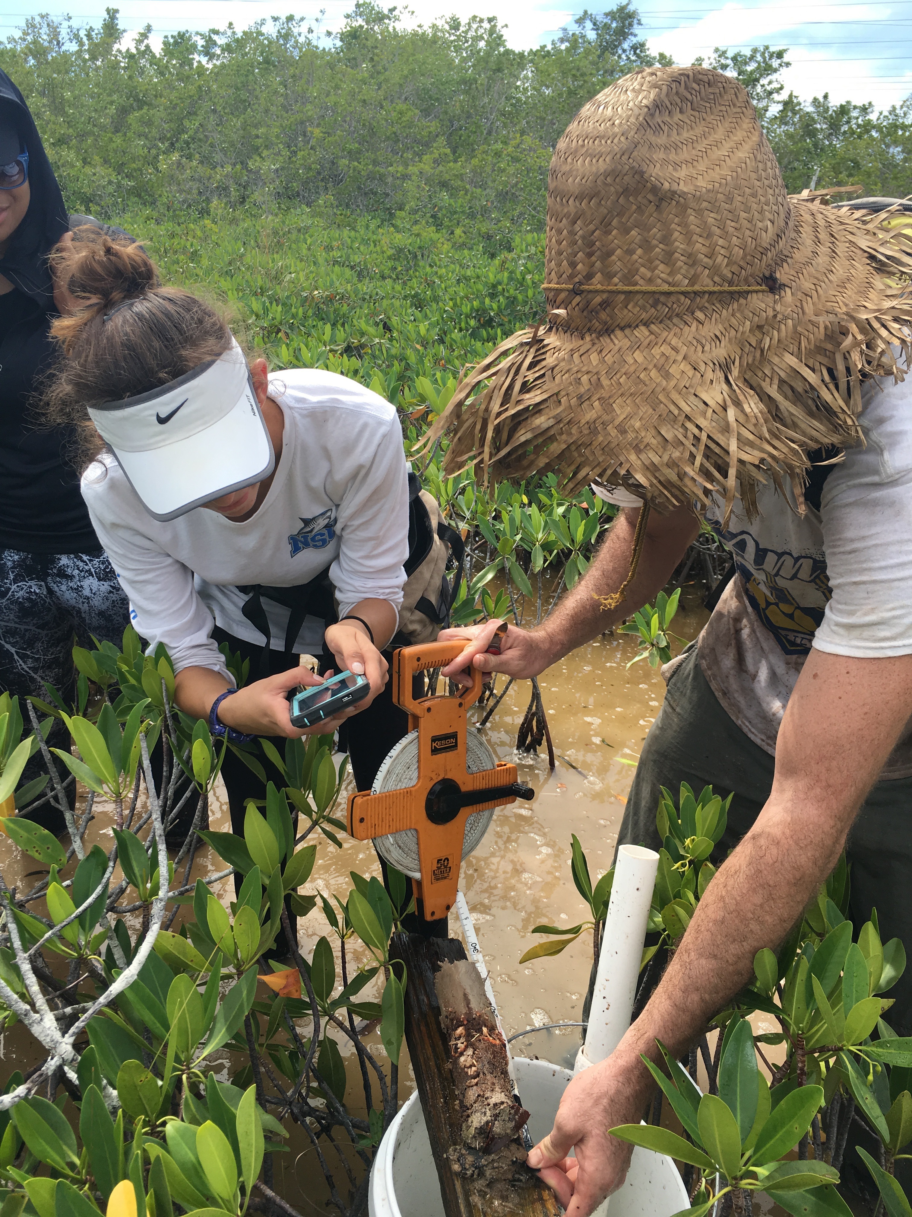 Venus Garcia (FIU QBIC Undergraduate, left) and Sean Charles (FIU Ph.D. student, right) measuring the length of a soil core in Biscayne National Park.