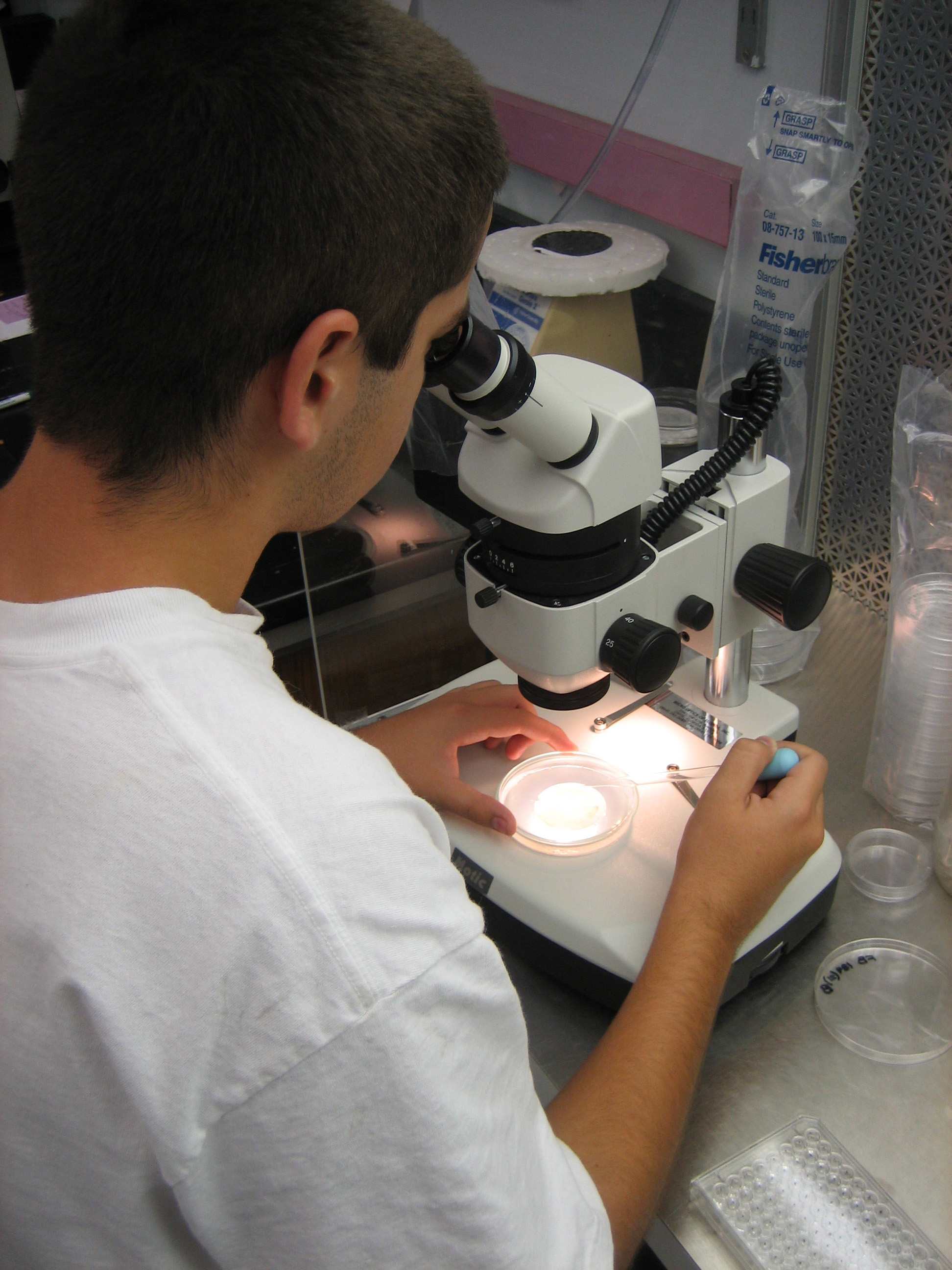 High school intern Oscar working in the lab