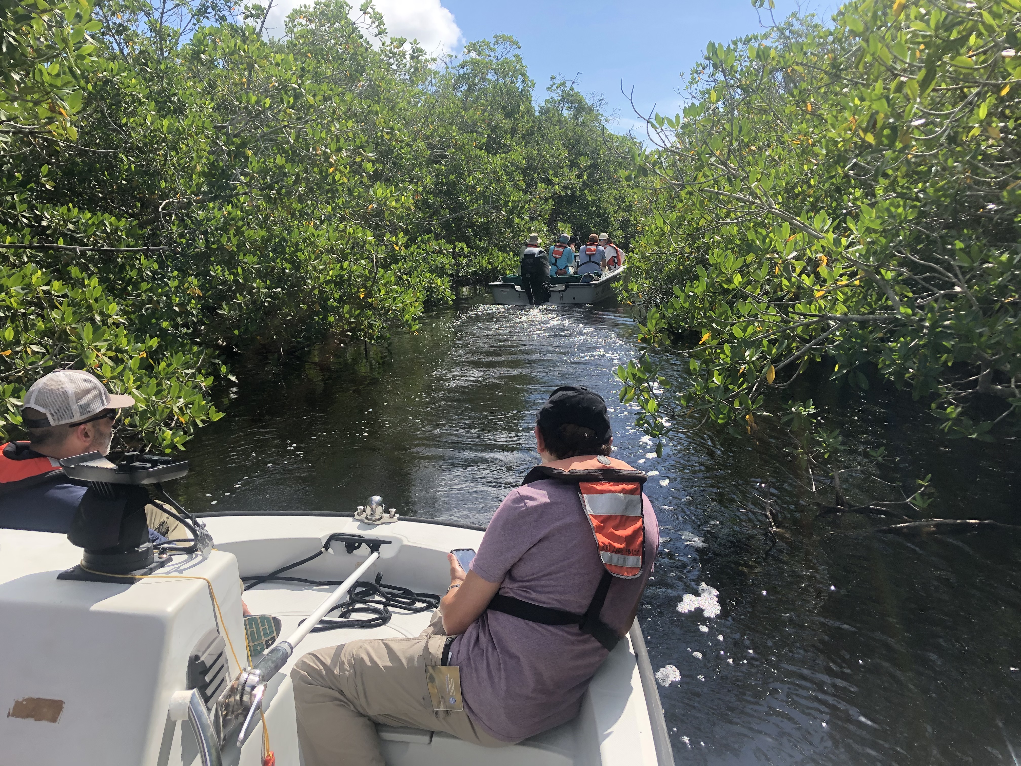 A caravan of boats taking the CISRERP committee up the Taylor River through the scrub mangrove forest to see FCE site TS/Ph 7