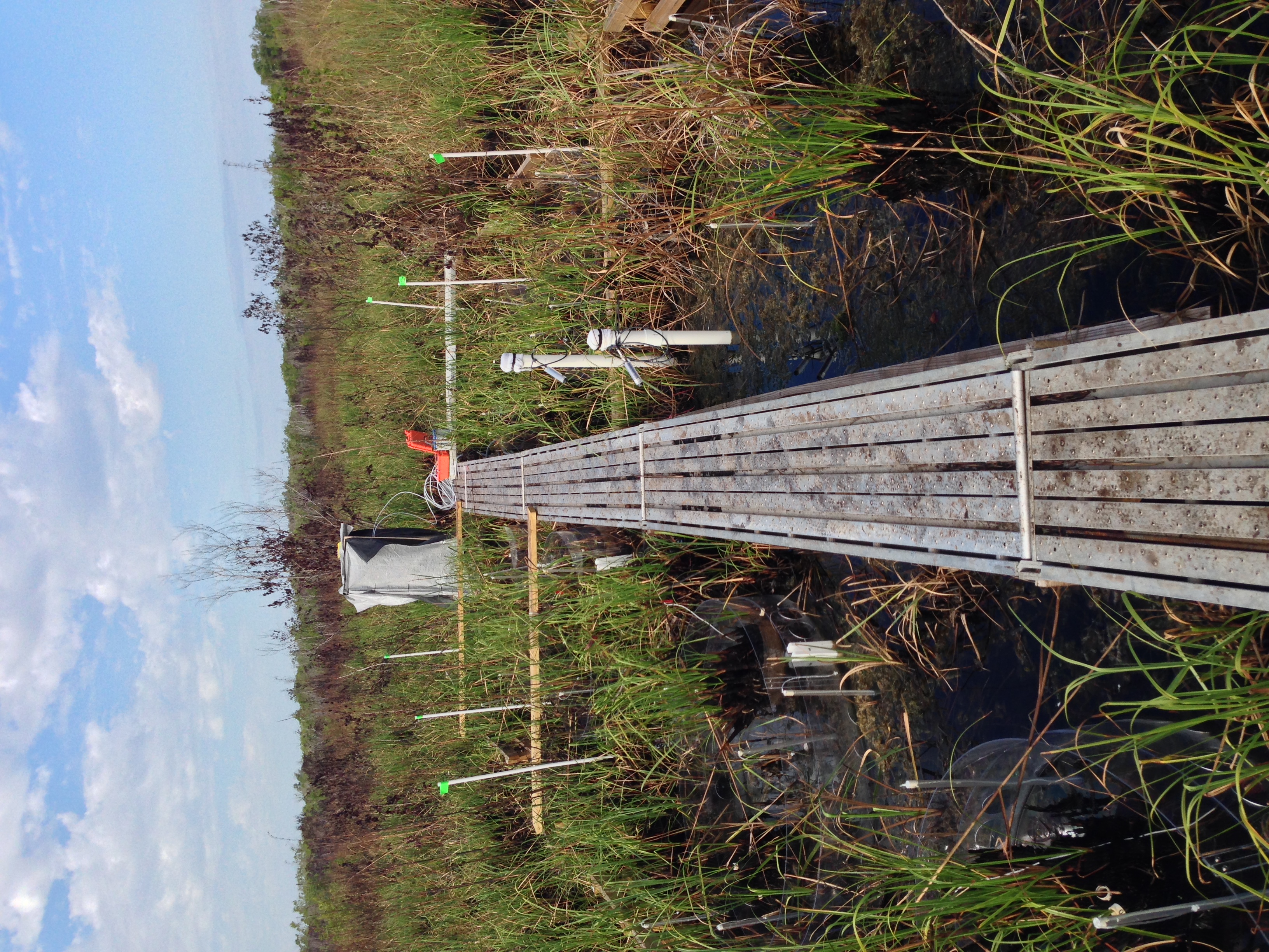 A flux chamber collecting gaseous carbon measurements at a brackish water site