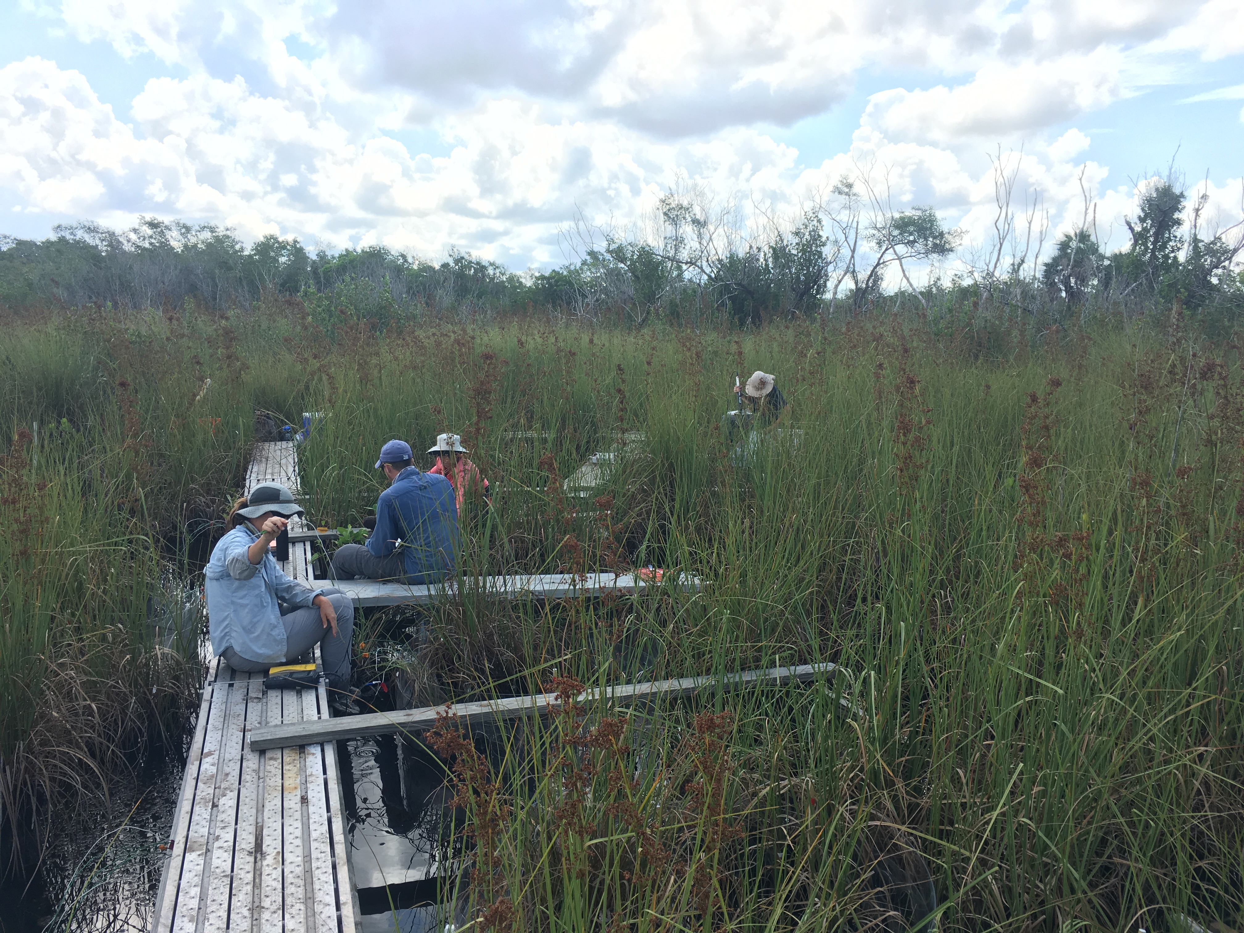 FCE researchers collecting a suite of measurements at a brackish water site