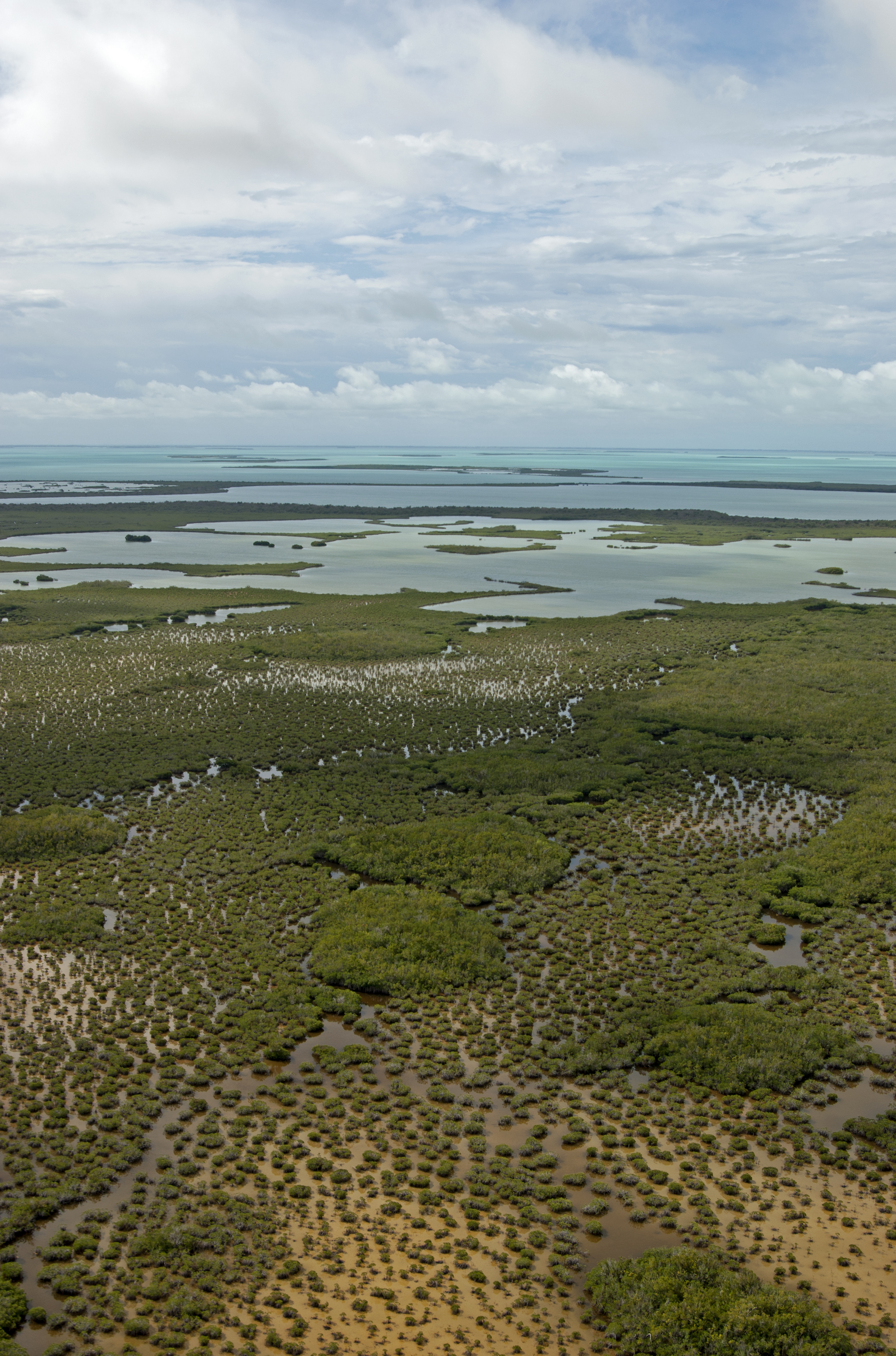 Aerial photo of the southern Everglades looking south towards Florida Bay